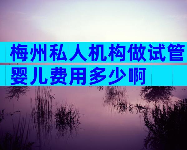梅州私人机构做试管婴儿费用多少啊