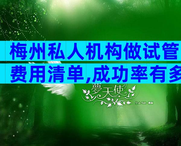 梅州私人机构做试管费用清单,成功率有多大