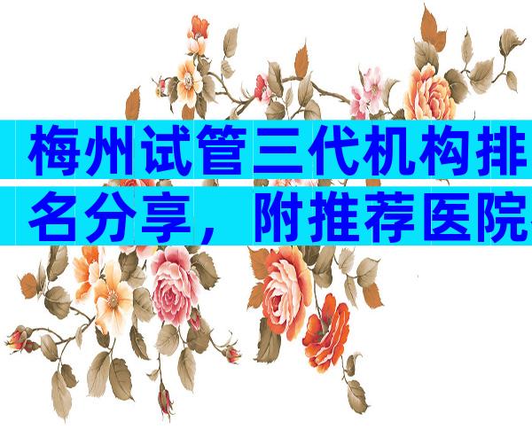 梅州试管三代机构排名分享，附推荐医院名单
