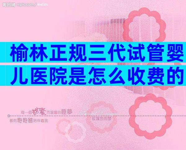 榆林正规三代试管婴儿医院是怎么收费的？影响费用的因素有哪些？