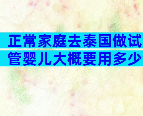 正常家庭去泰国做试管婴儿大概要用多少钱？