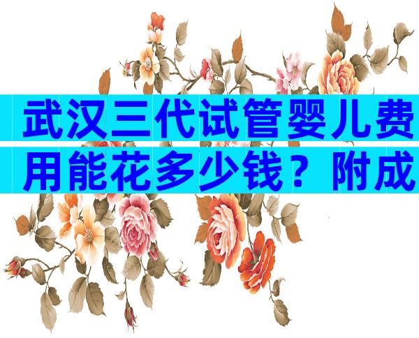 武汉三代试管婴儿费用能花多少钱？附成功率费用参考？
