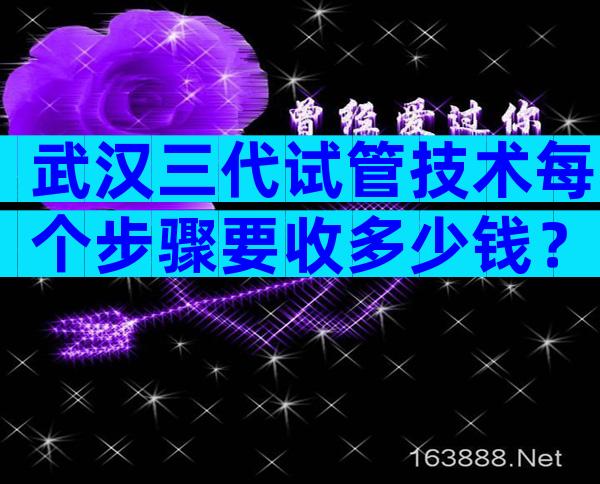 武汉三代试管技术每个步骤要收多少钱？
