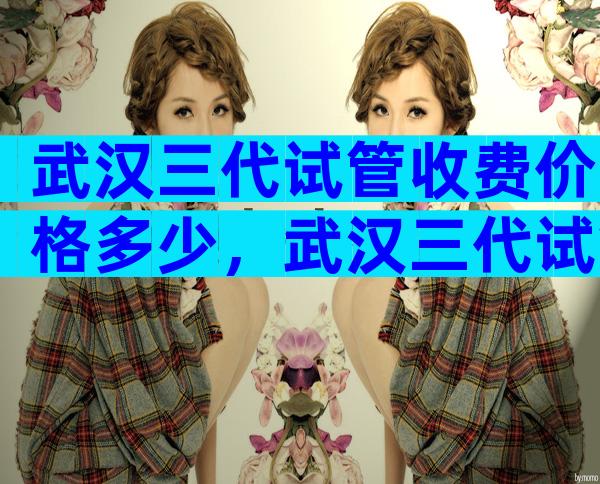 武汉三代试管收费价格多少，武汉三代试管收费价格多少钱