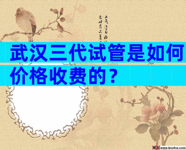 武汉三代试管是如何价格收费的？