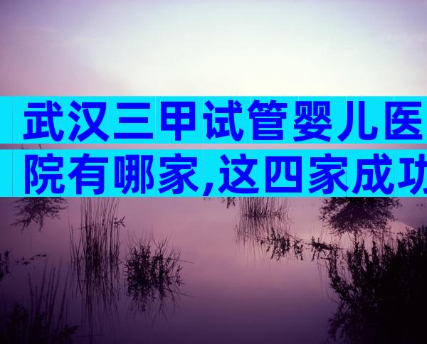 武汉三甲试管婴儿医院有哪家,这四家成功率比较高