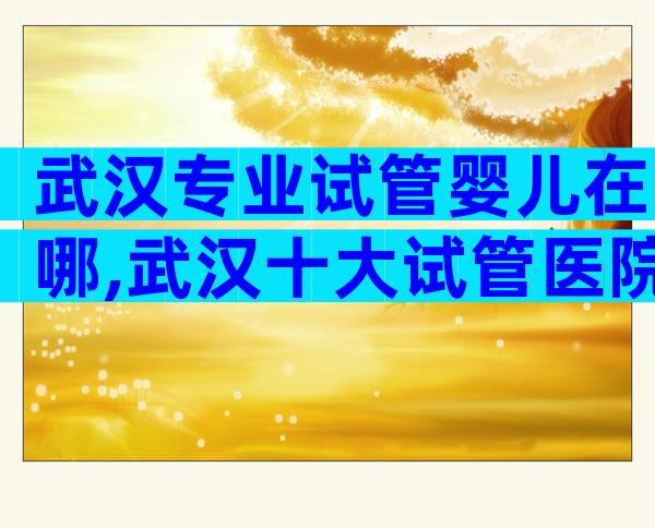 武汉专业试管婴儿在哪,武汉十大试管医院排名