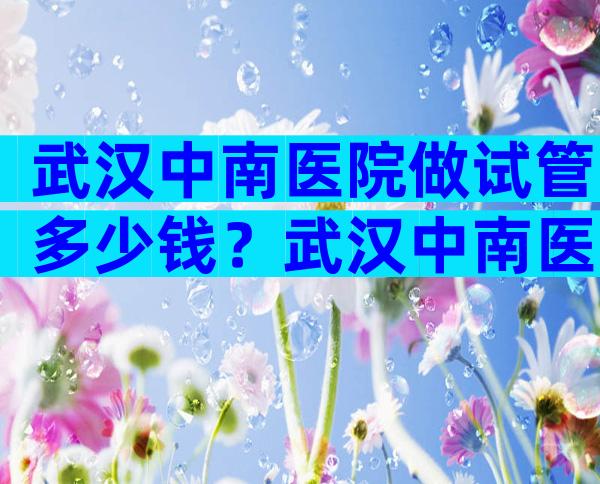 武汉中南医院做试管多少钱？武汉中南医院做试管多少钱一次？