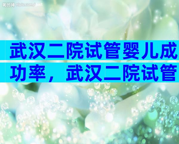 武汉二院试管婴儿成功率，武汉二院试管婴儿成功率高吗？