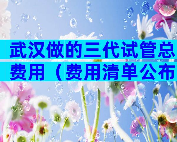 武汉做的三代试管总费用（费用清单公布）