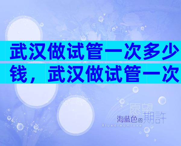 武汉做试管一次多少钱，武汉做试管一次多少钱啊