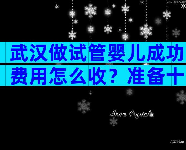 武汉做试管婴儿成功费用怎么收？准备十万基本足够