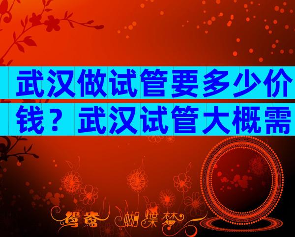 武汉做试管要多少价钱？武汉试管大概需要多少钱？