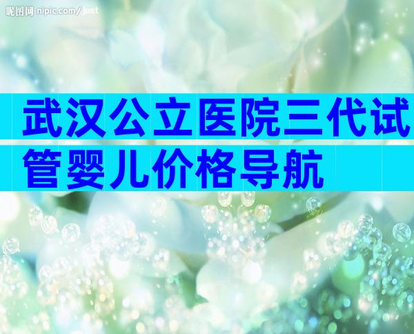 武汉公立医院三代试管婴儿价格导航