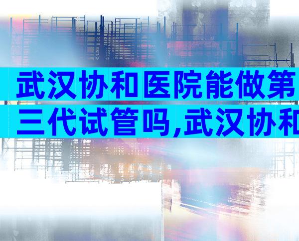 武汉协和医院能做第三代试管吗,武汉协和试管成功率有多高