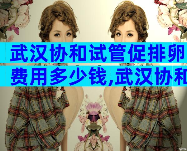 武汉协和试管促排卵费用多少钱,武汉协和医院做试管婴儿多少钱