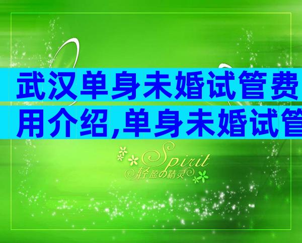 武汉单身未婚试管费用介绍,单身未婚试管婴儿成功率解读