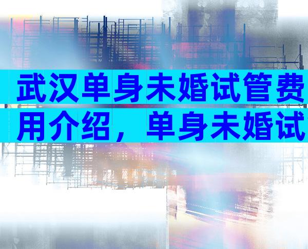 武汉单身未婚试管费用介绍，单身未婚试管婴儿成功率解读