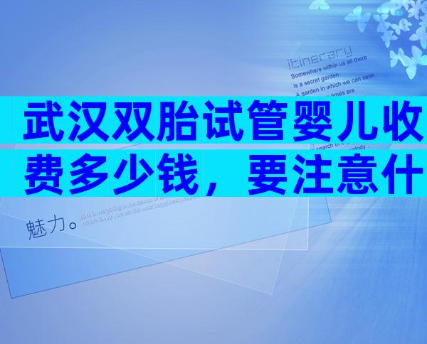 武汉双胎试管婴儿收费多少钱，要注意什么？