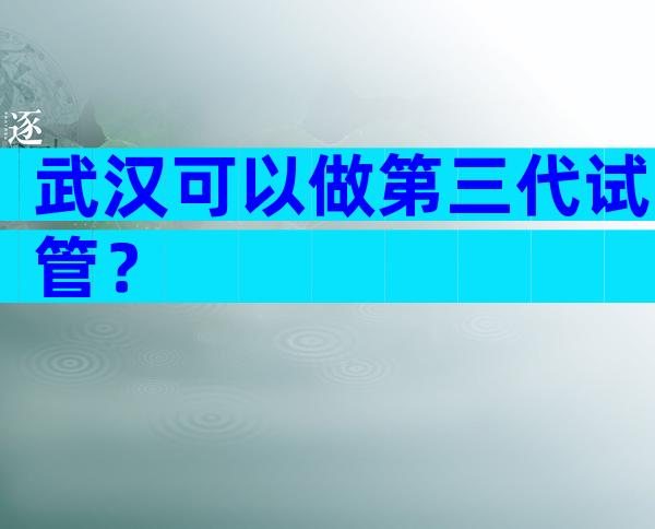 武汉可以做第三代试管？