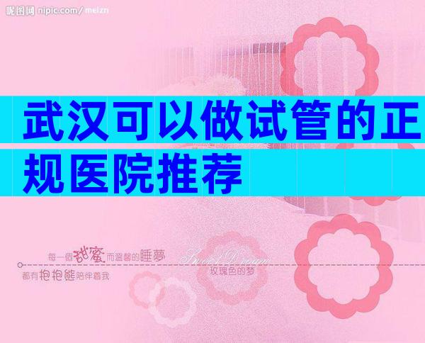 武汉可以做试管的正规医院推荐