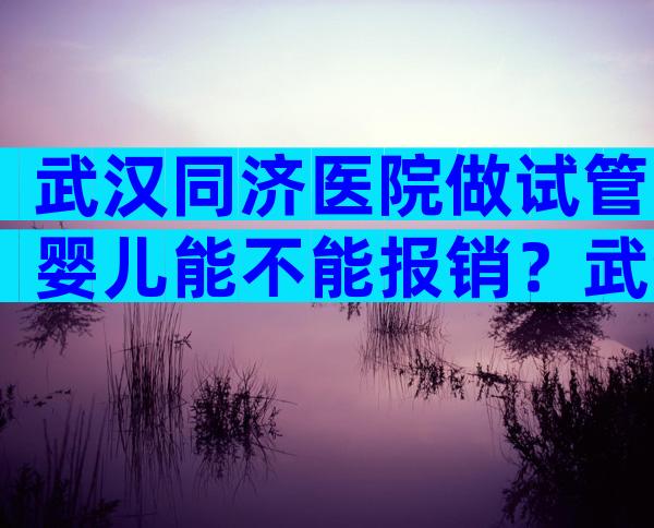 武汉同济医院做试管婴儿能不能报销？武汉同济医院生殖科能不能用医保？