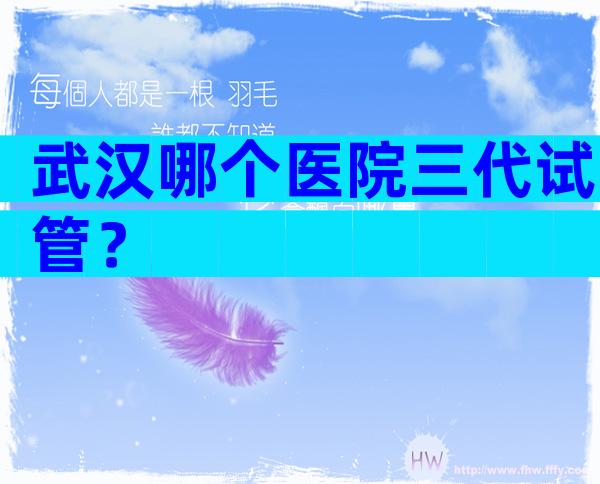武汉哪个医院三代试管？