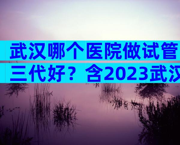 武汉哪个医院做试管三代好？含2023武汉费用标准