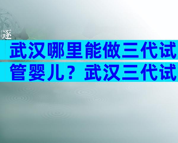 武汉哪里能做三代试管婴儿？武汉三代试管婴儿医院