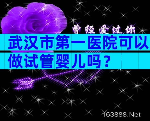 武汉市第一医院可以做试管婴儿吗？