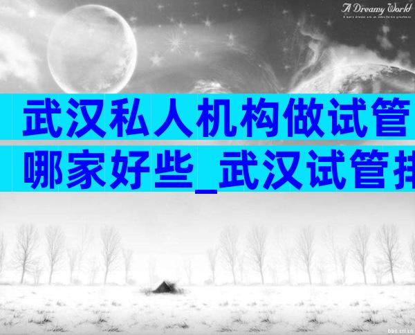 武汉私人机构做试管哪家好些_武汉试管排名第一私立医院
