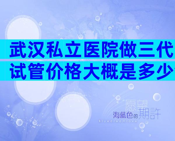 武汉私立医院做三代试管价格大概是多少钱