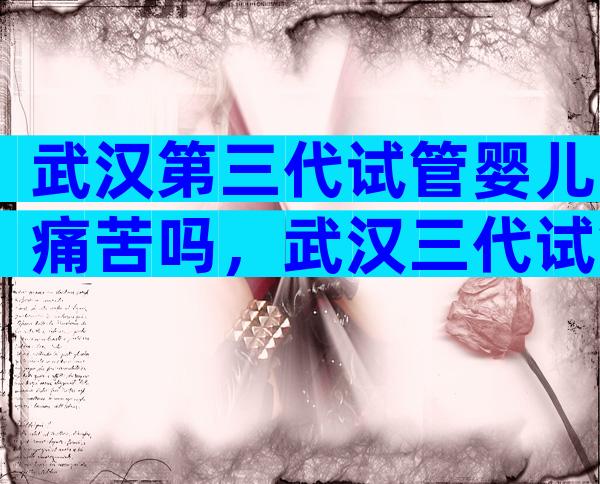 武汉第三代试管婴儿痛苦吗，武汉三代试管机构在哪里