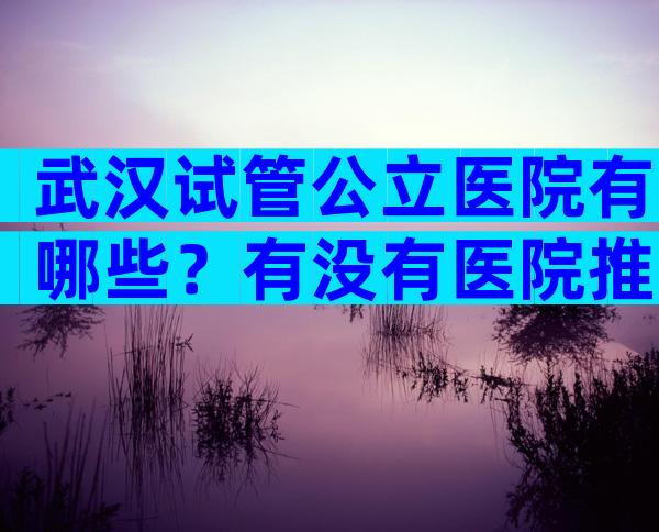 武汉试管公立医院有哪些？有没有医院推荐