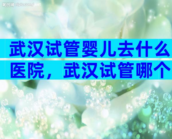 武汉试管婴儿去什么医院，武汉试管哪个医院成功率高