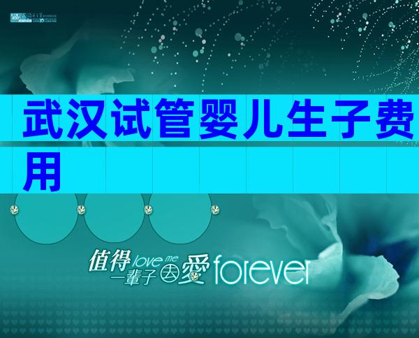 武汉试管婴儿生子费用