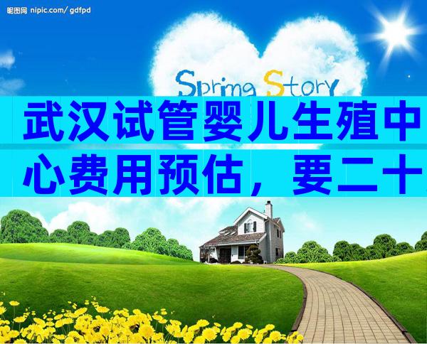 武汉试管婴儿生殖中心费用预估，要二十万吗？