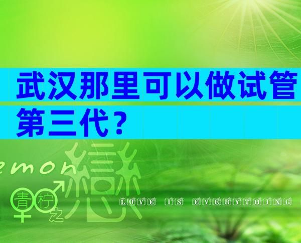 武汉那里可以做试管第三代？