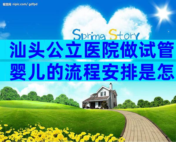 汕头公立医院做试管婴儿的流程安排是怎么样的？成功率如何？