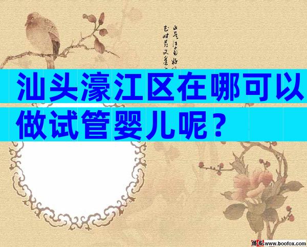 汕头濠江区在哪可以做试管婴儿呢？