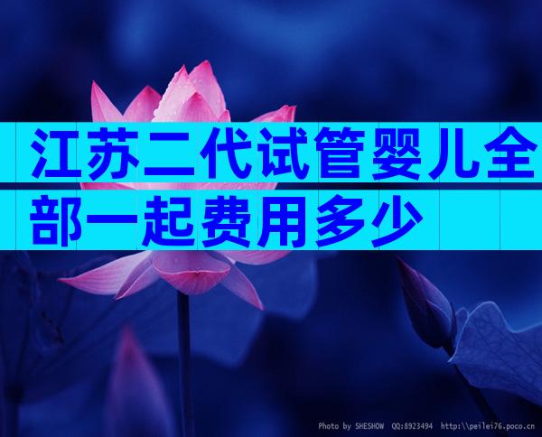江苏二代试管婴儿全部一起费用多少