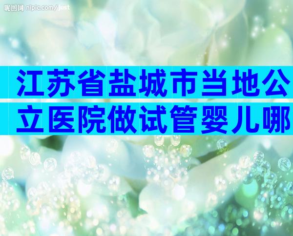 江苏省盐城市当地公立医院做试管婴儿哪家好？