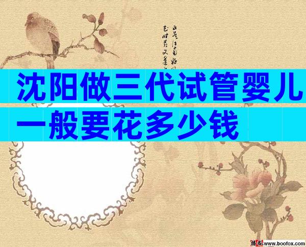 沈阳做三代试管婴儿一般要花多少钱