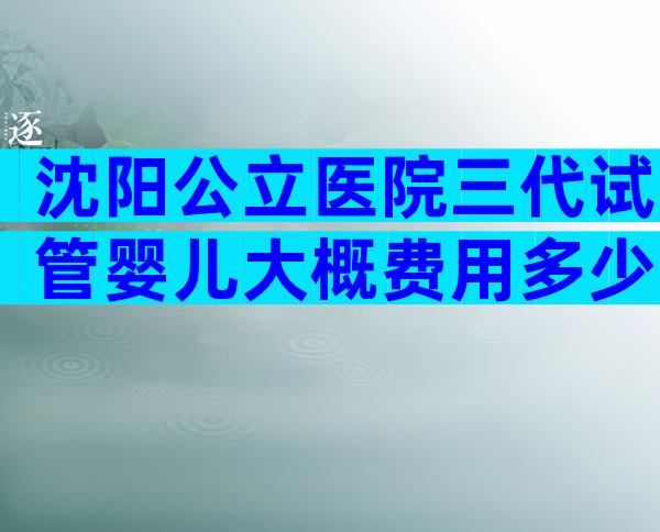 沈阳公立医院三代试管婴儿大概费用多少