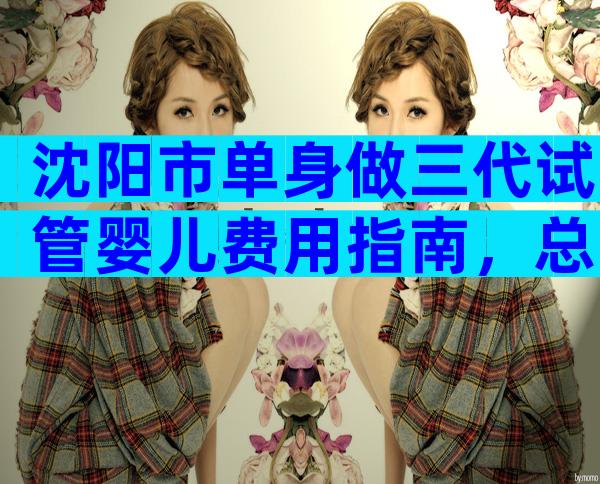 沈阳市单身做三代试管婴儿费用指南，总结费用清单