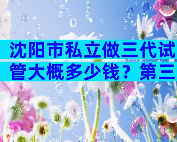沈阳市私立做三代试管大概多少钱？第三代试管婴儿价格