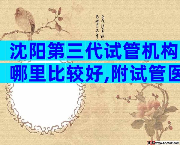 沈阳第三代试管机构哪里比较好,附试管医院选择方法