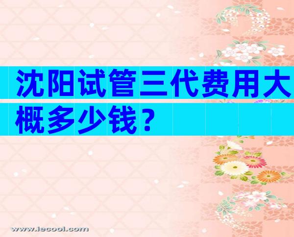 沈阳试管三代费用大概多少钱？