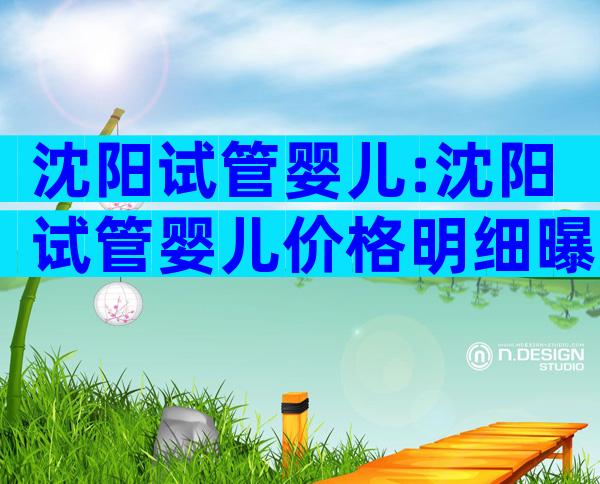 沈阳试管婴儿:沈阳试管婴儿价格明细曝光