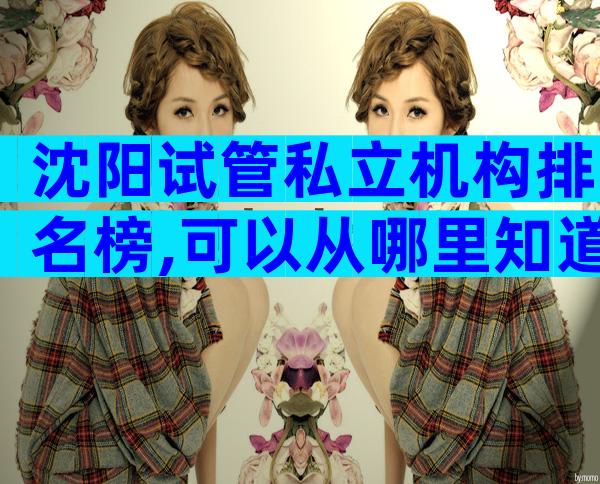 沈阳试管私立机构排名榜,可以从哪里知道